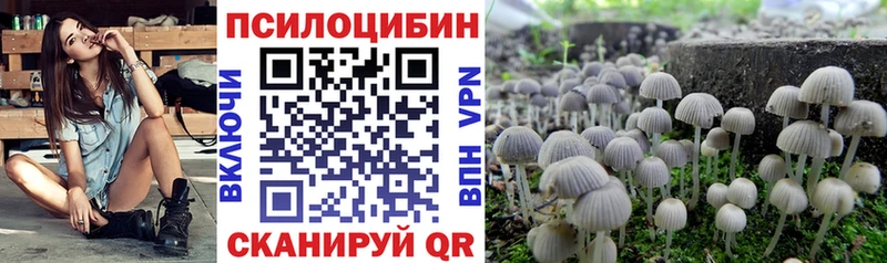 Галлюциногенные грибы Psilocybe  Купить закладки  Югорск 